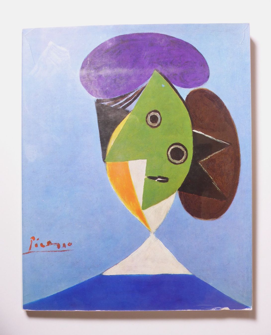 Libri: Konvolut Picasso 7 Titel – Usato da Erschwil venduto da taglang 5