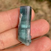 45ct Indigolith roh Kristall, blauer Turmalin, Doppelender