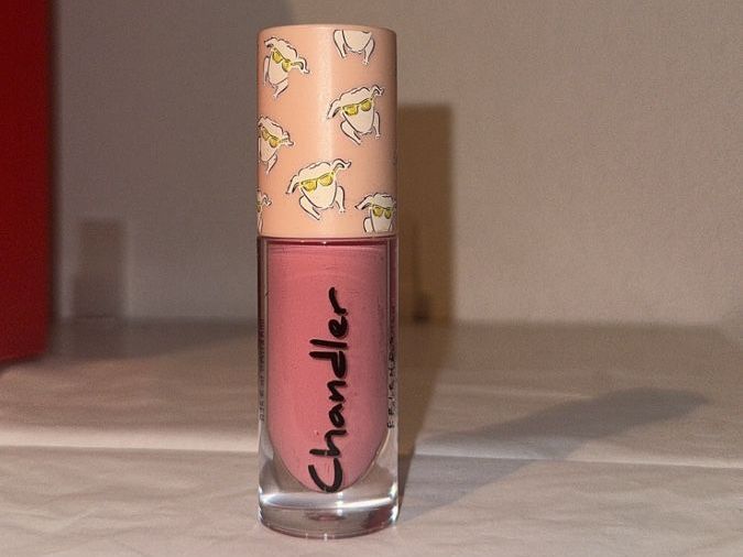 Make-up: Revolution Gloss Friends Edition, Chandler – Nuovo (secondo la descrizione) da Oftringen venduto da tola19