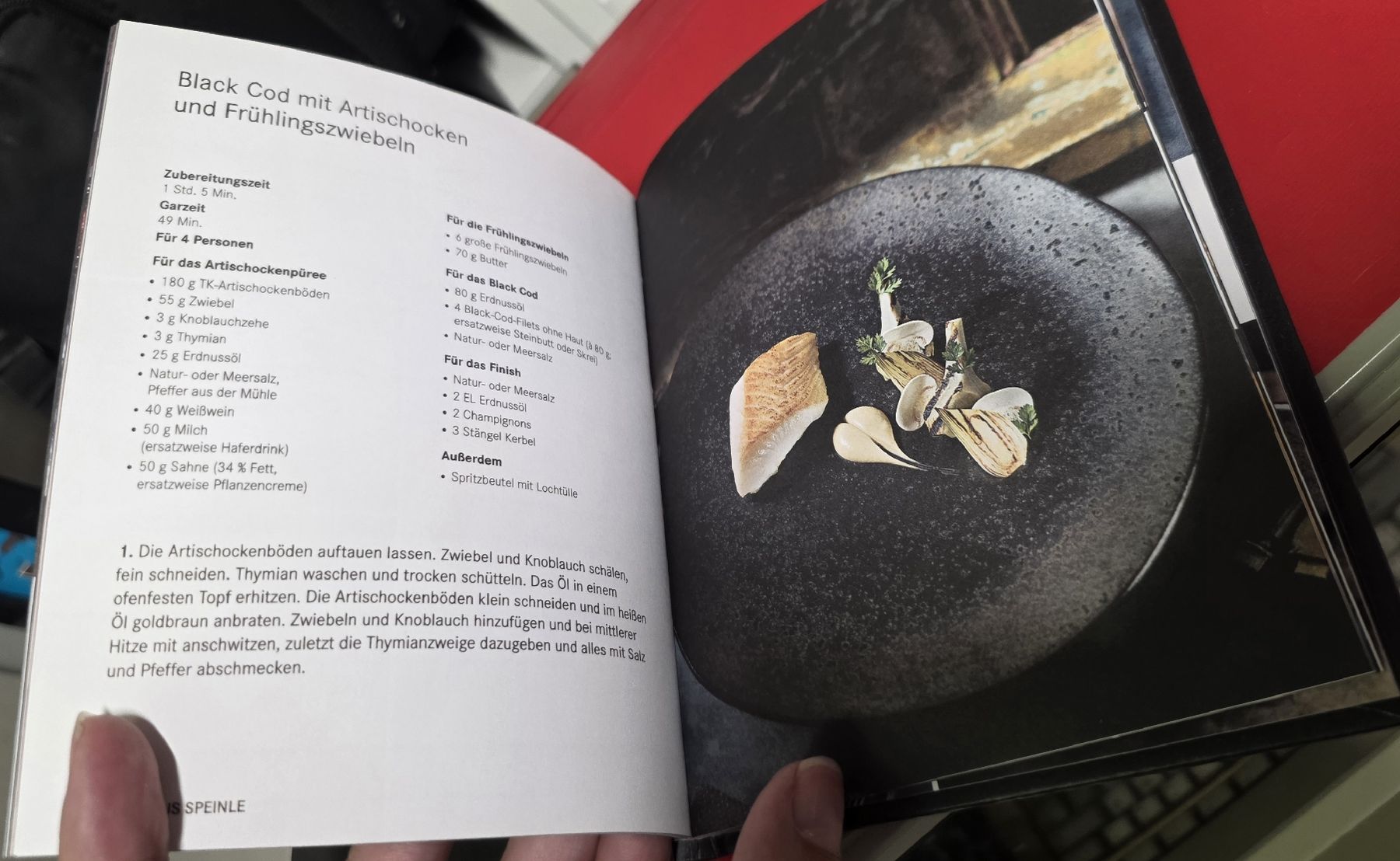 Libri: Dampfbacken in Perfektion - Bora (BUCH) – Usato da Reinach BL venduto da _MasterK_ 1