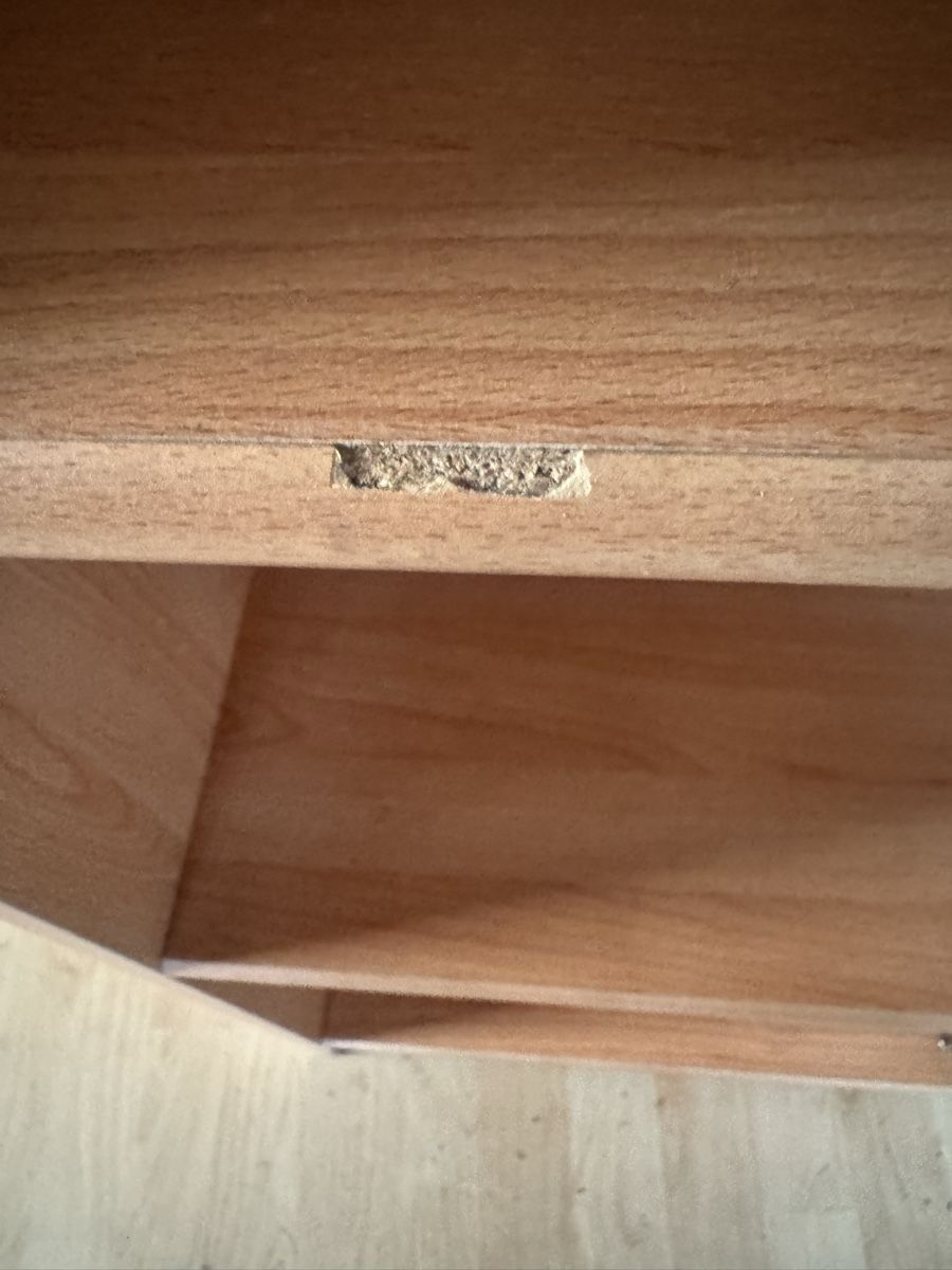 Scaffali: Regal 5 Bretter – Nuovo (secondo la descrizione) da Küssnacht am Rigi venduto da raj_wt6k 3