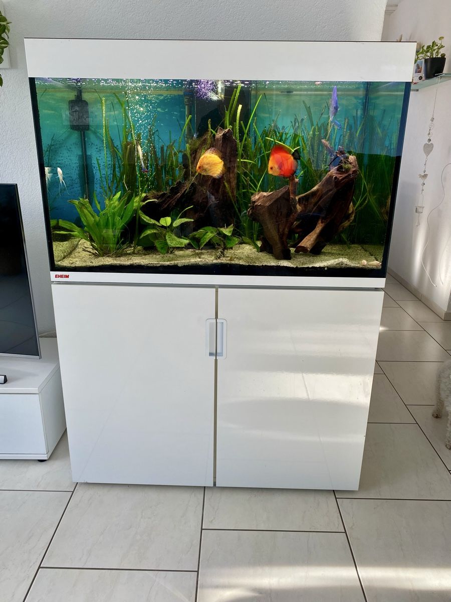Acquari: Eheim,Aquarium, – Usato da Wohlenschwil venduto da ogon70 2
