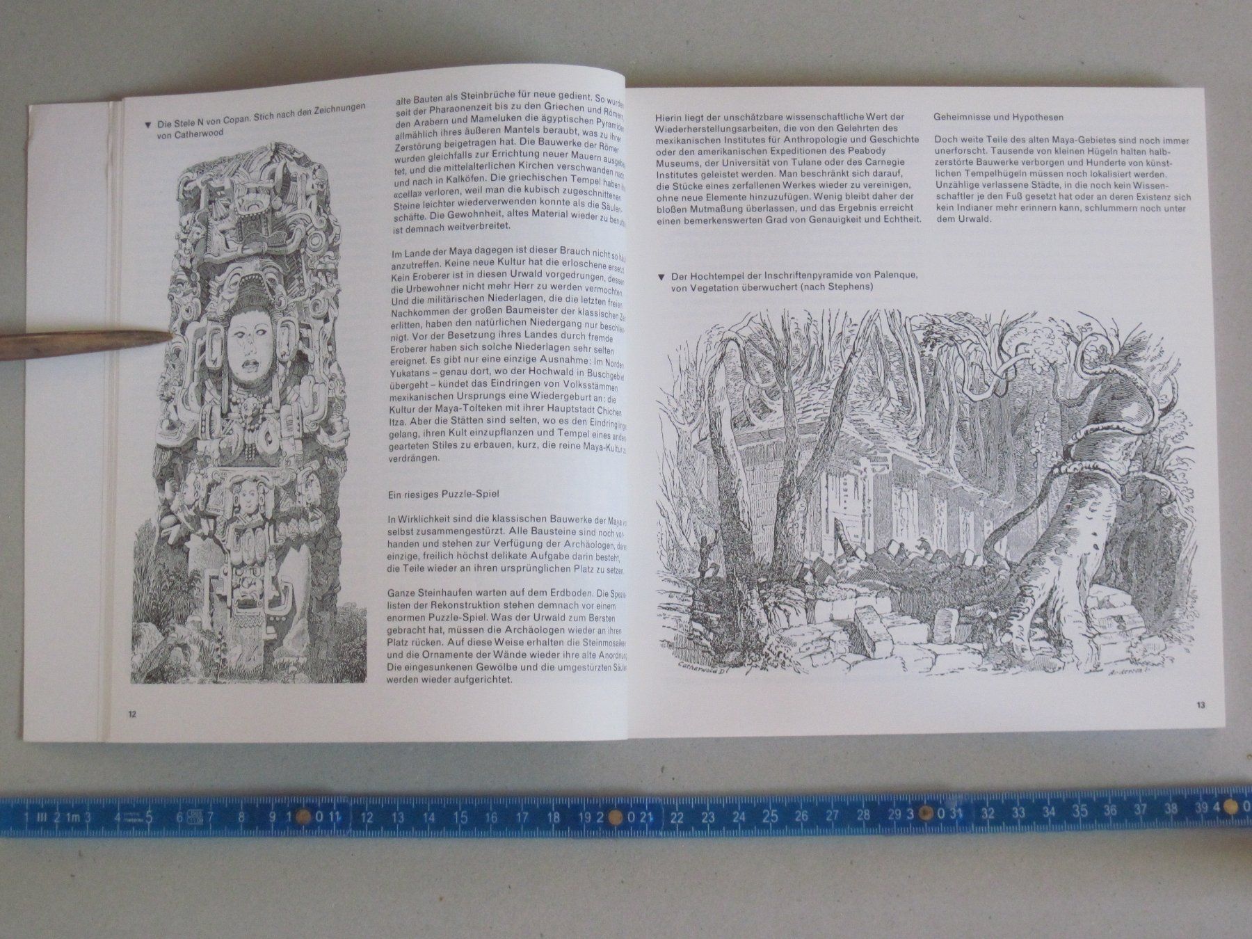 Libri: Maya – Usato da Feuerthalen venduto da mam_5l7b 4