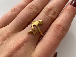 Ring (Schlagenring)