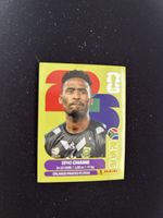 Panini RSA 3