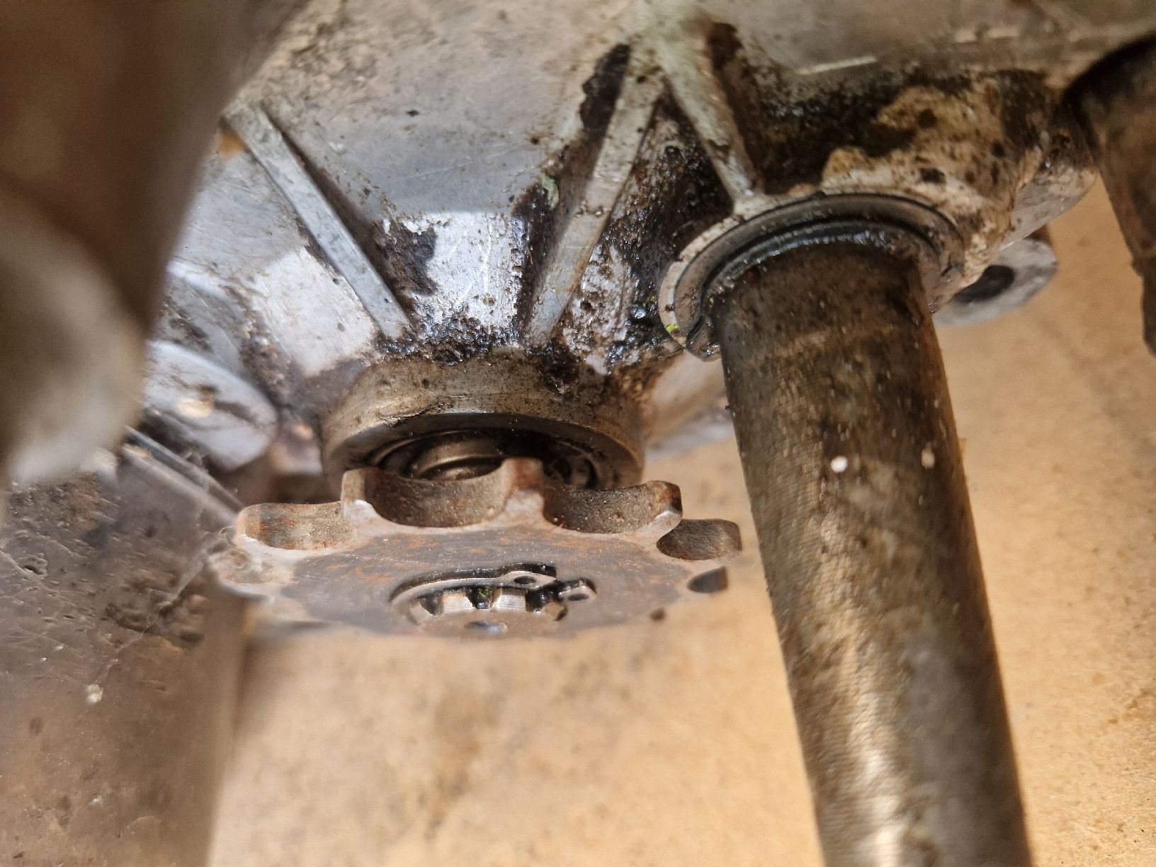 Puch Mofas: Motore Puch 4 marce – Gebraucht aus Breno von BorioliD 5