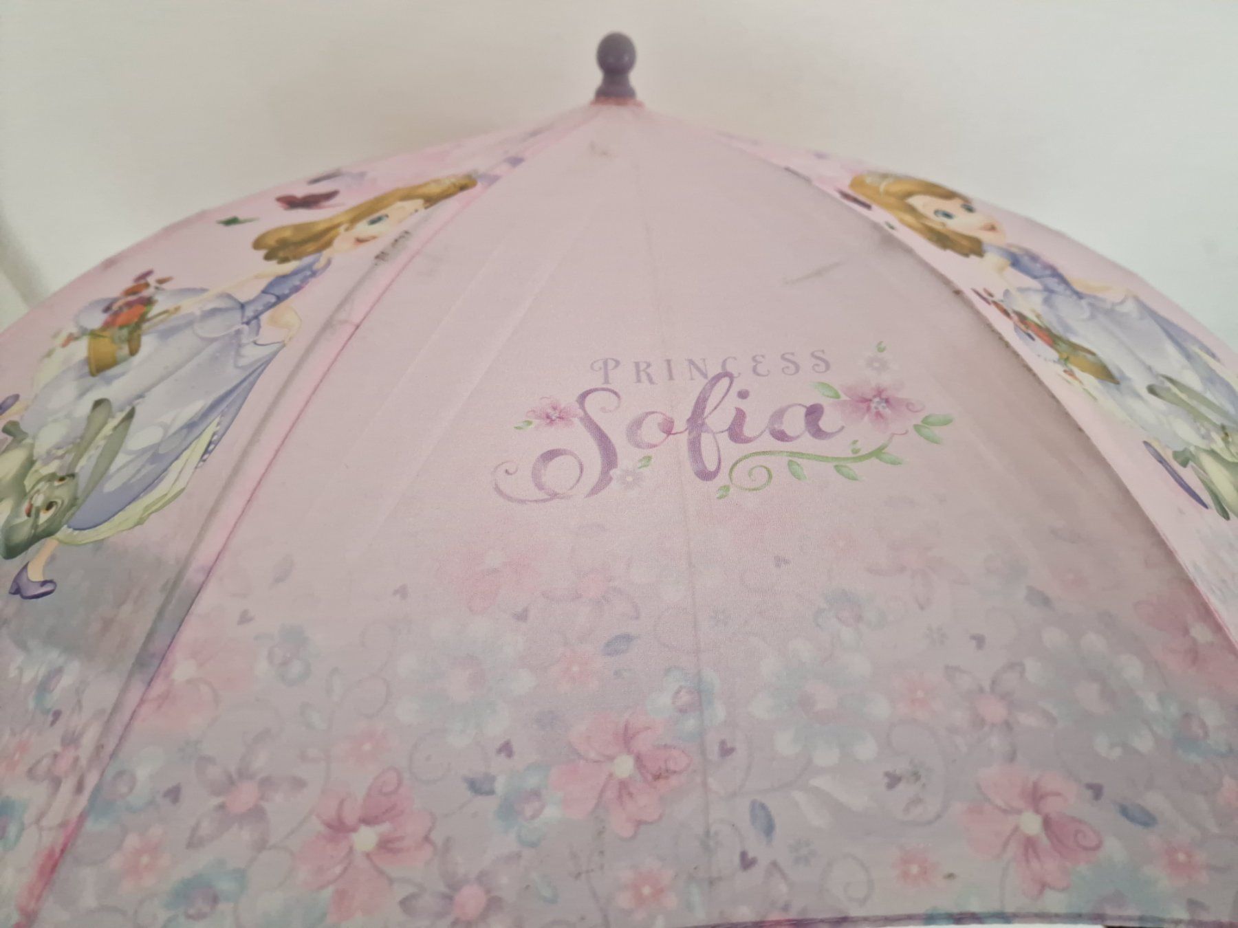 Sonstiges für Kind & Baby: Kleinkinder Regenschirm Princessin Sofia – Gebraucht aus Hallau von CHACLA 2