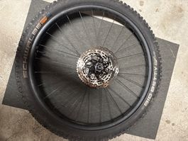 Laufrad Hinterrad 29 zoll