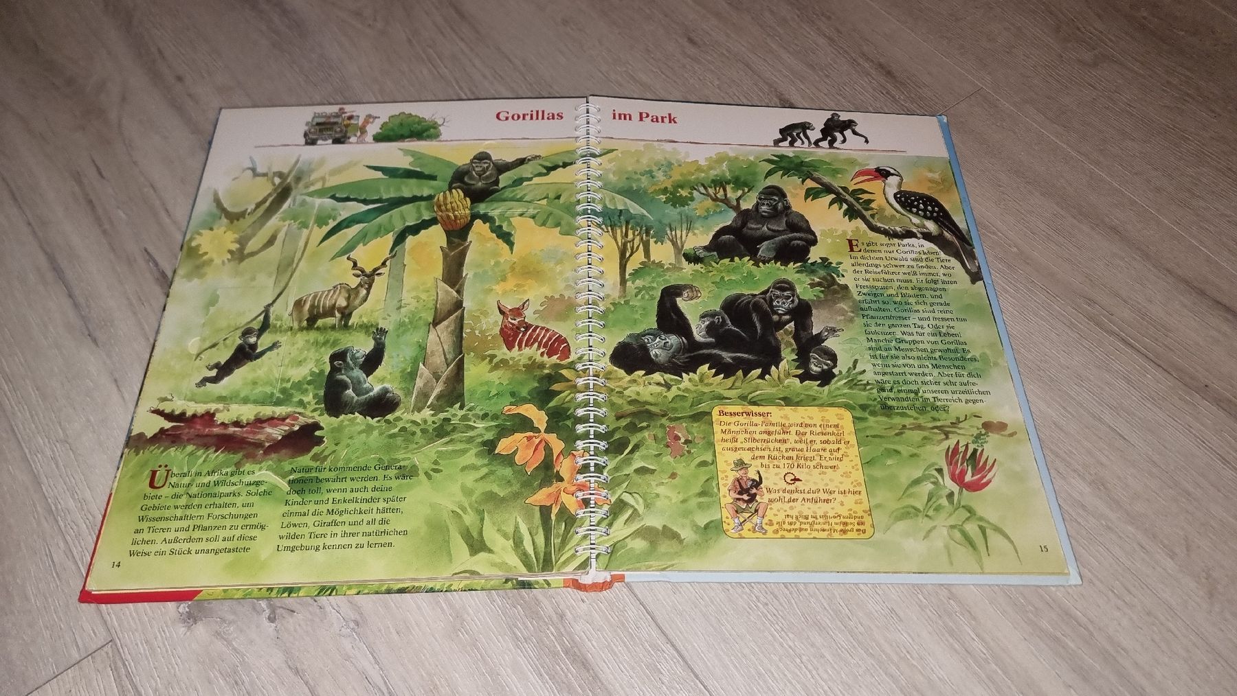 Libri: "Abenteuer Safari" Kinderbuch mit Klappen – Usato da Wigoltingen venduto da Zuckerfee84 1