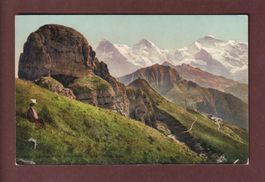 SCHYNIGE PLATTE - Gummihorn