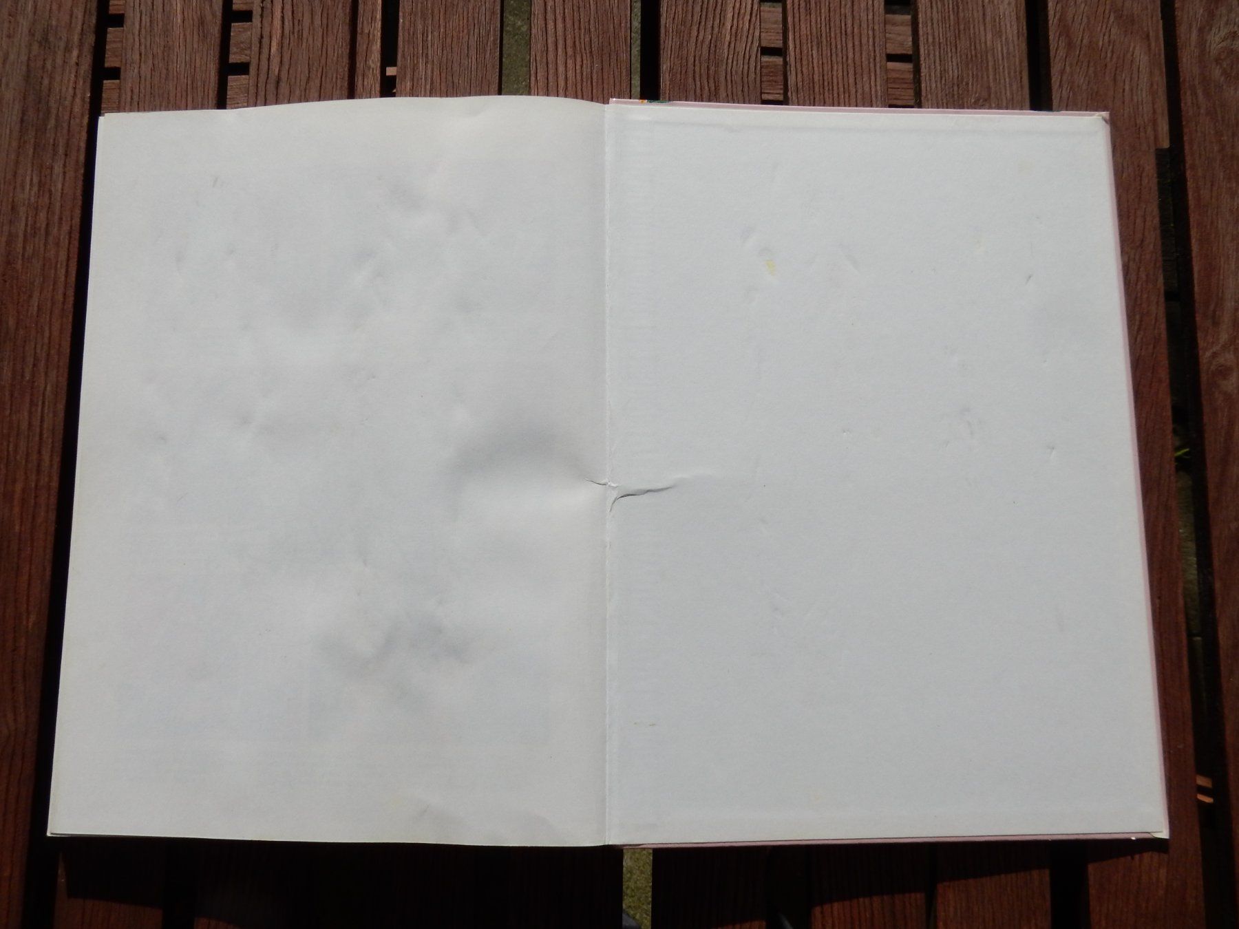 Libri: **Ringier Farbige Kinderbücher Ringgi + Zofi Abenteuer** – Usato da zürich venduto da Heidiho1 6