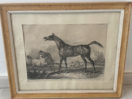 Lithographie XIXe Carle Vernet Chevaux en liberté (Delpech.)