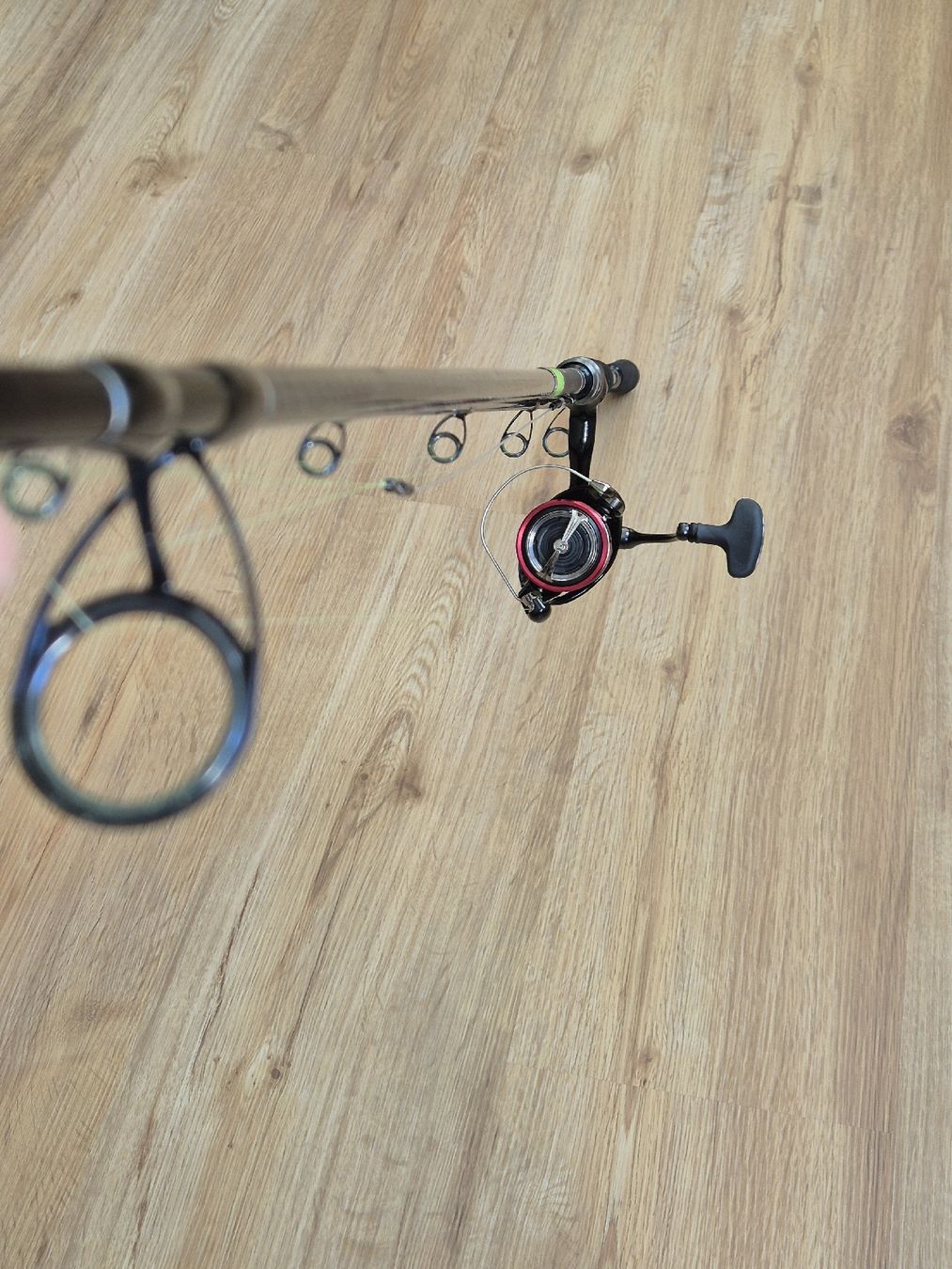 Daiwa Canne da pesca: Daiwa Prorex Spin Rute – Nuovo (secondo la descrizione) da Beckenried venduto da fon_fc2l 7