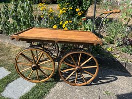 Wagen Leiterwagen Leiterwägeli