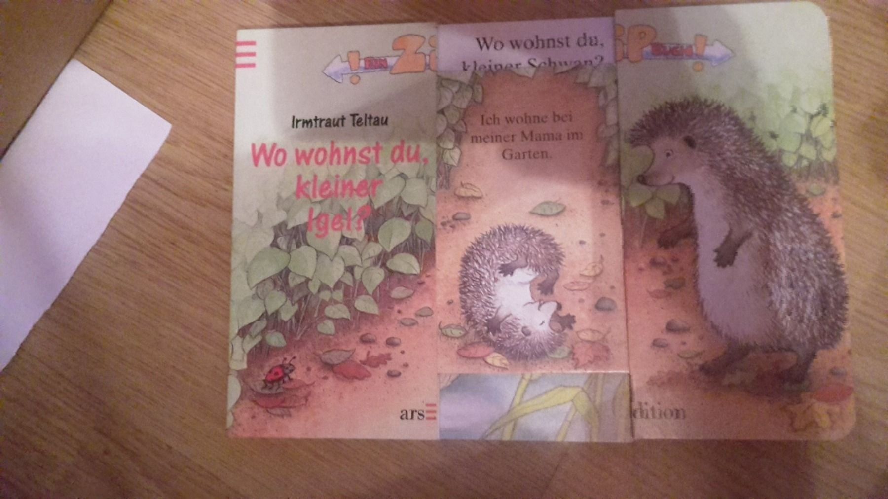 Bücher: Zip buch Igel – Neu (gemäss Beschreibung) aus Spiegel b. Bern von Flamingo07 1