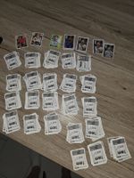 ca. 430 Panini WM - Bilder + Messi, wirtz extra + doku extra