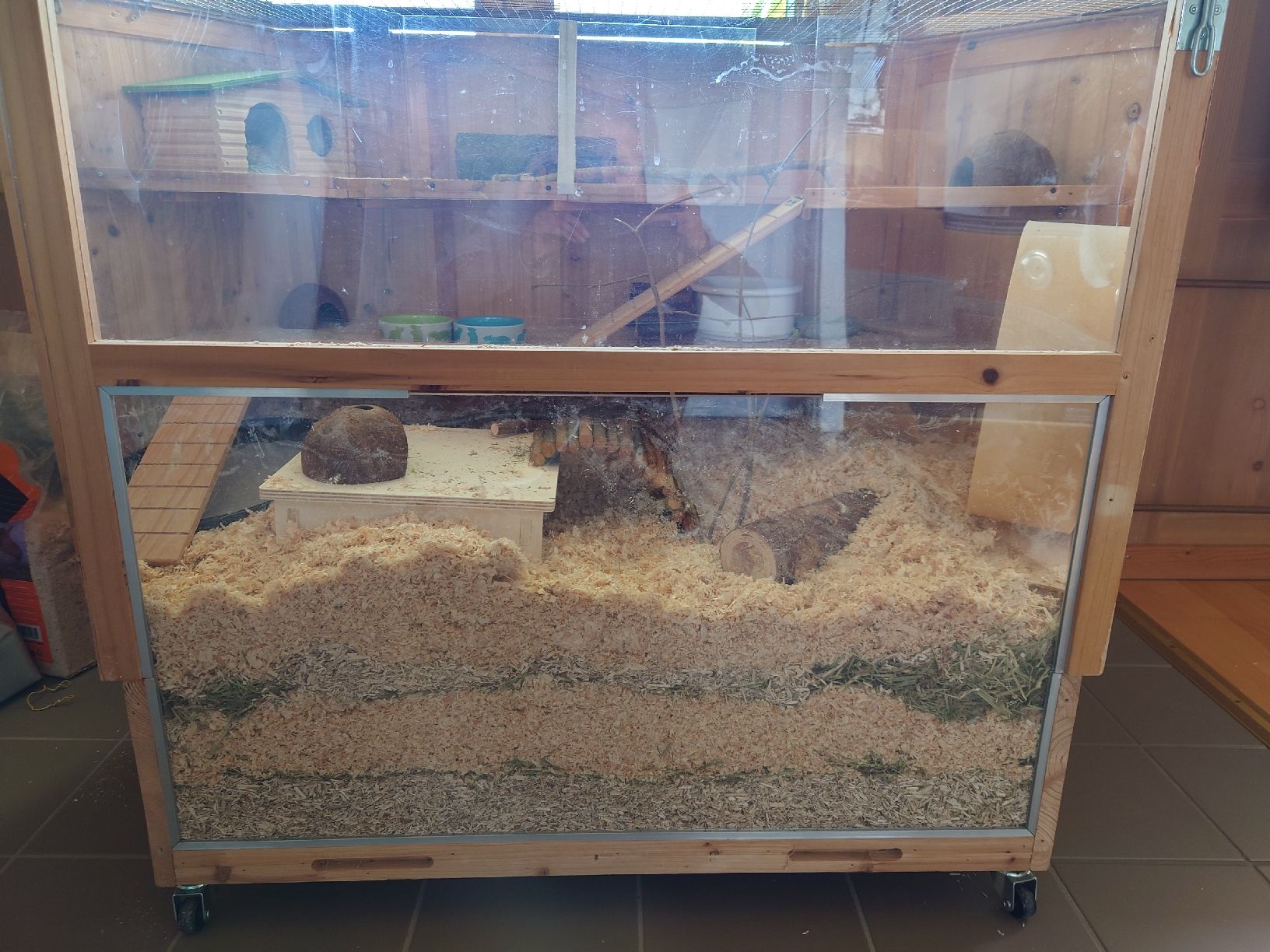 Gabbie, trasporto & Sicurezza: Hamsterkäfig – Usato da Tscheppach venduto da sp-3000 1
