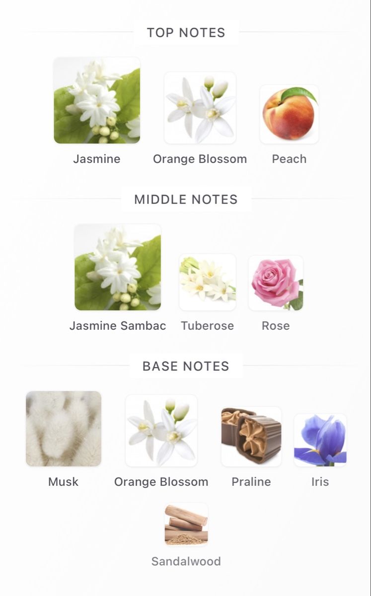 Creed Profumi & Eau de Toilette: EDP Wind Flowers by Creed 3x2ml – Nuovo e nell'imballaggio originale da Genève venduto da StaceyH 2
