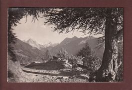 Vue du Chemin de ST. LUC à CHANDOLIN - 1948