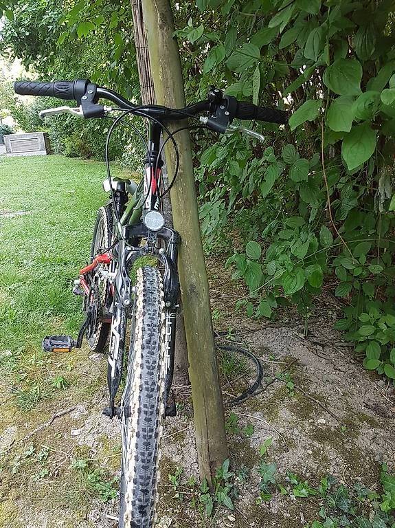 Biciclette: Velo enfant  micmo storm – Usato da Petit-Lancy venduto da chevalier 1