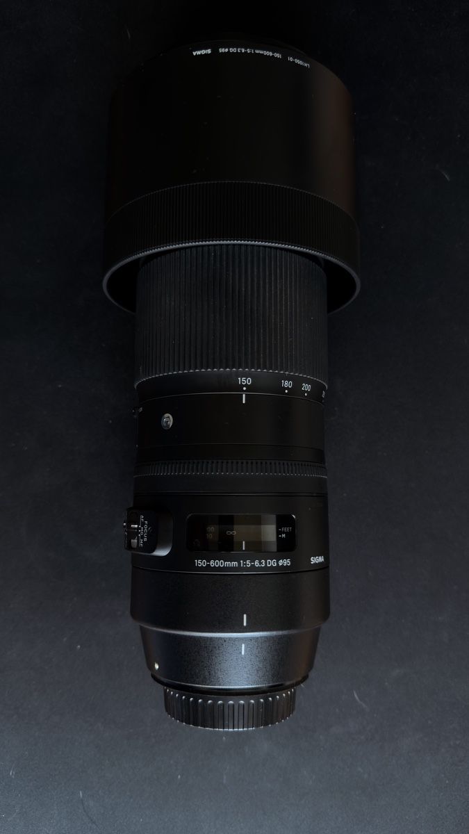 Sigma Obiettivi: Sigma EF 150-600 f5-6.3 DG – Usato da Schlieren venduto da KenW
