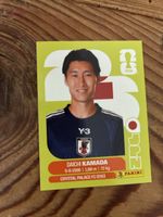 Panini JPN 11
