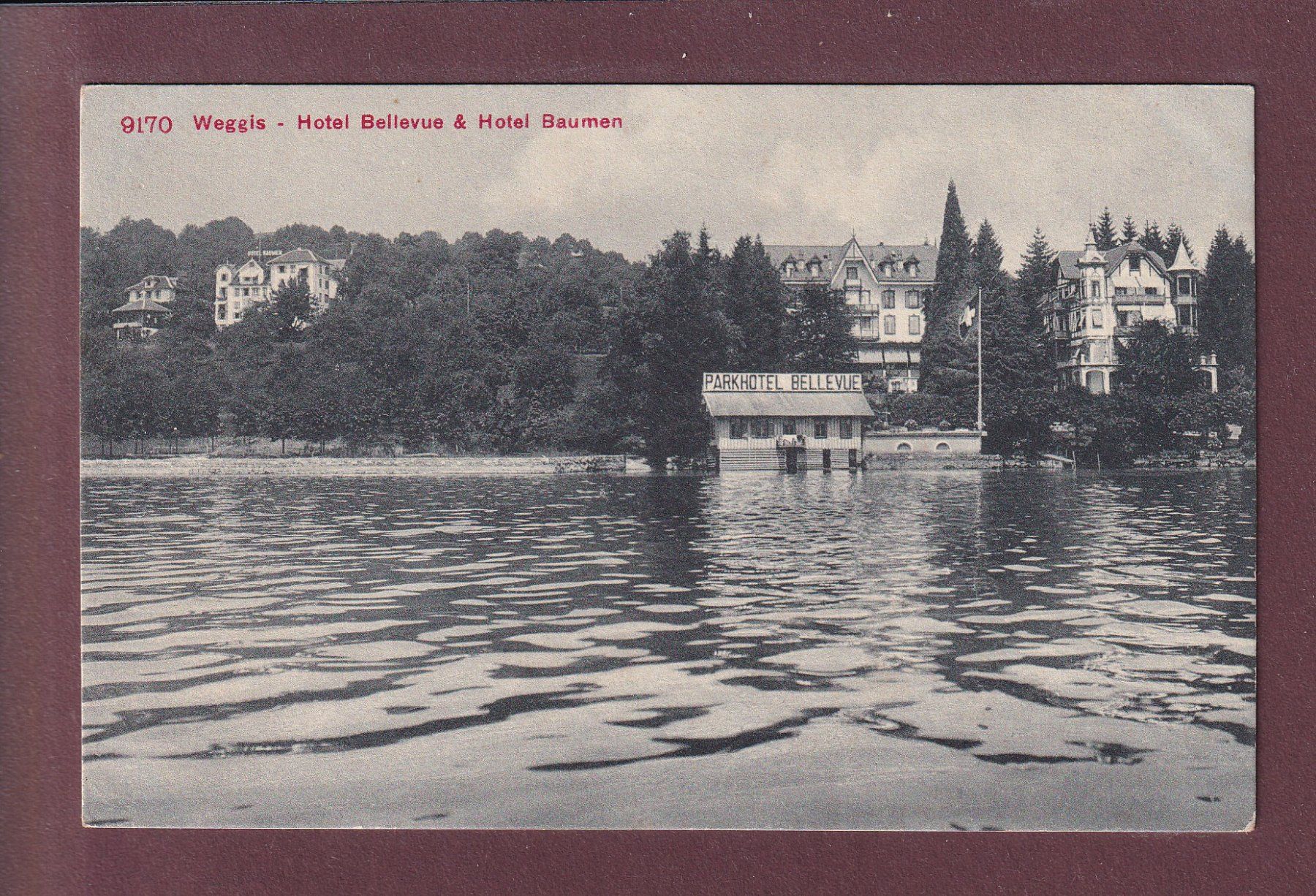 Ansichtskarten: WEGGIS - Hotel Bellevue und Baumen // kleiner Eckbug // – Gebraucht aus Pully von nicecards