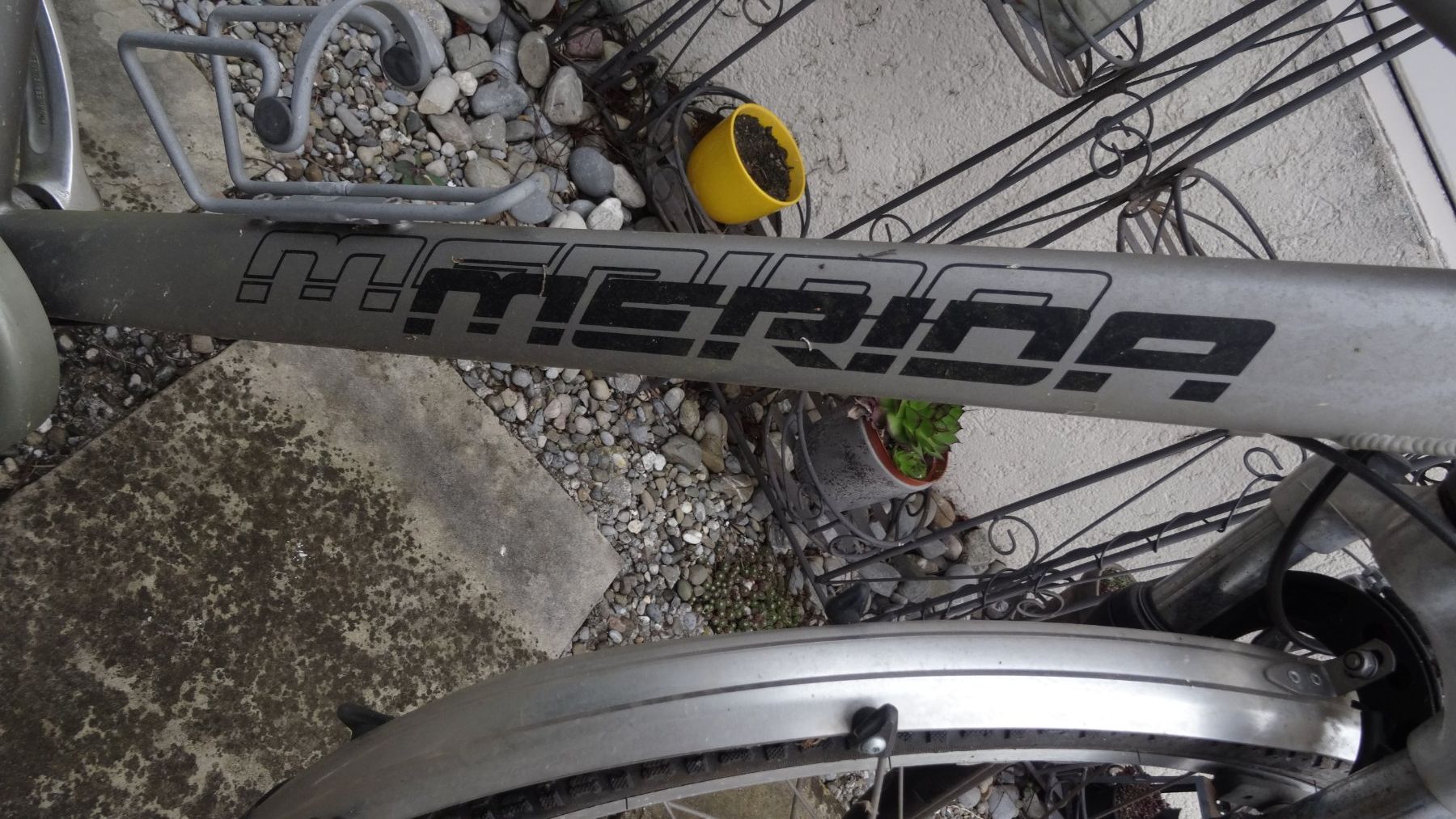 Biciclette: Velo – Usato da Siebnen venduto da Gimmisun 1