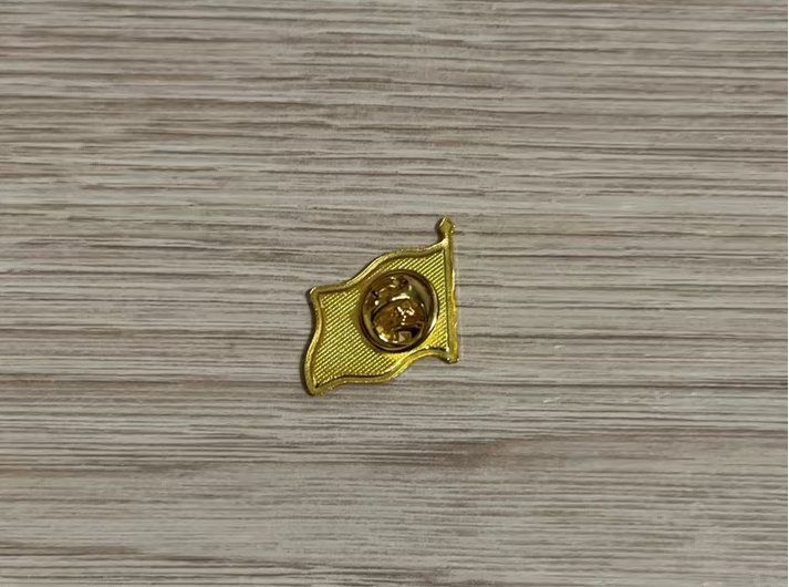 50 Anstecknadeln Flagge Portugals Pins - Drapeau Portugal (Neuf avec ...