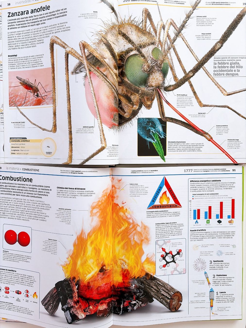 Bücher: La grande enciclopedia degli Animali Scienza Gribaudo – Gebraucht aus Vacallo von olg_7nvc 2