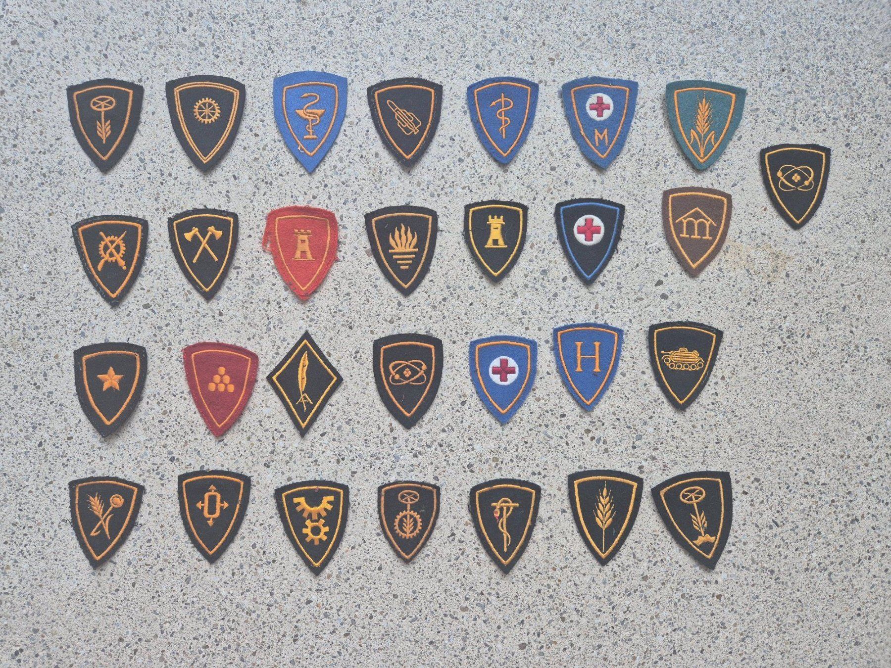 Schweizer Armee Placchette & Badge: *** Abzeichen Sammlung Set 2027 *** – Usato da Riedholz venduto da fr_sIruP