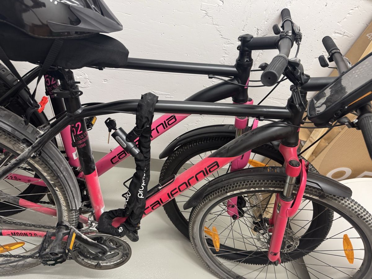 Biciclette: 2 velo - mountain bikes California 52” – Usato da Rorschach venduto da ilo_jxk7 1