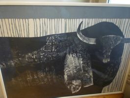 Litho Vasquez
