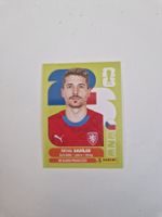 Panini Sticker CZE9
