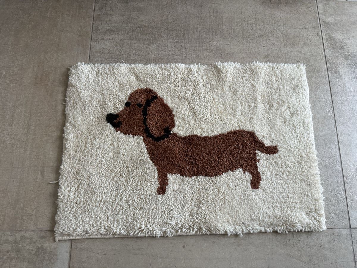 Biancheria da letto: Cute Dachshund Rug 🐾 – Usato da Zürich venduto da dam_t7hk