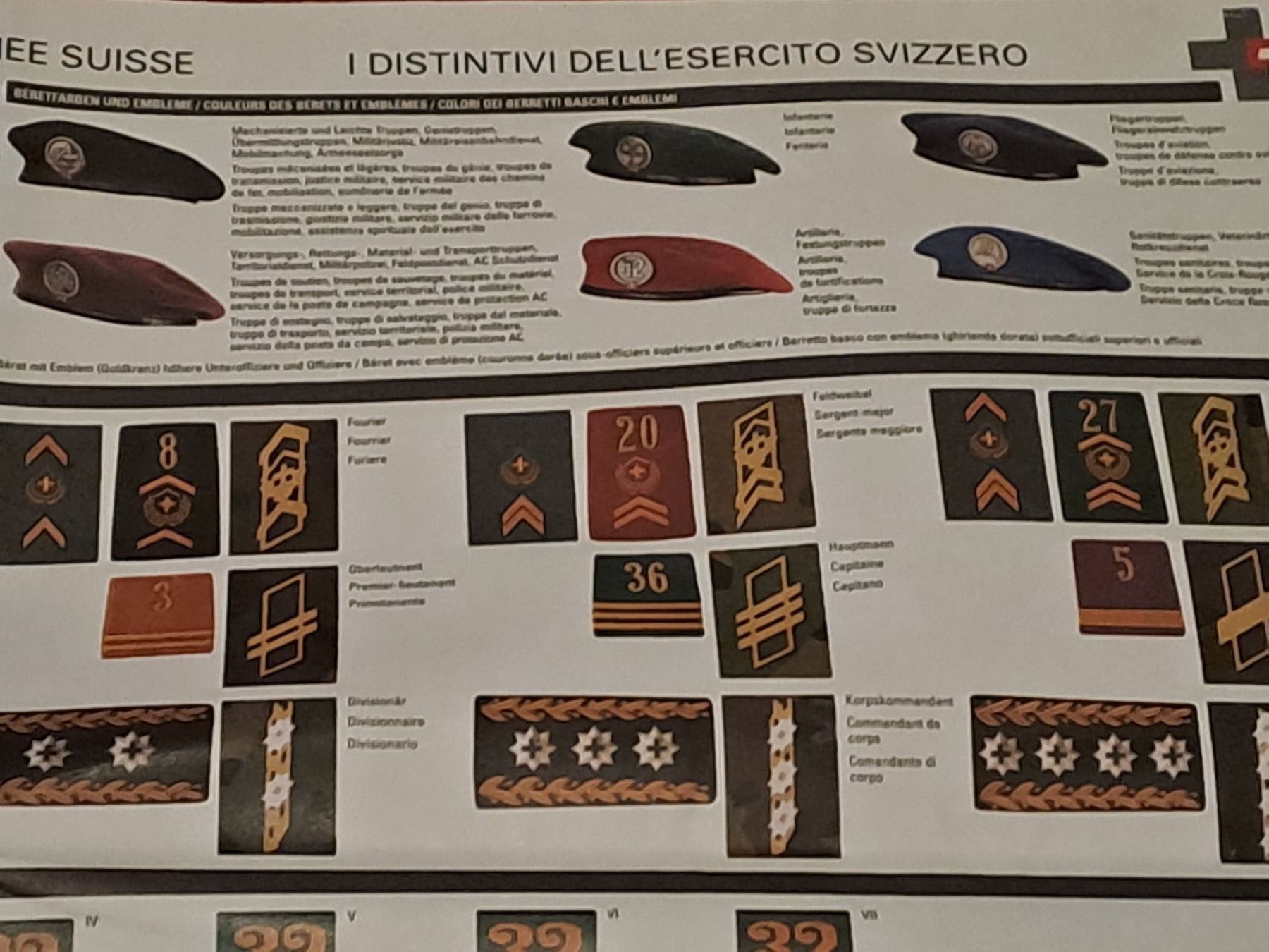 Schweizer Armee Uniformi: Sehr grosses Plakat,  Schweizer Uniform Abzeichen – Usato da St.Gallen venduto da Infanteriewerk 2