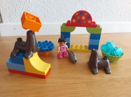 LEGO Duplo 10503 Seelöwen-Show