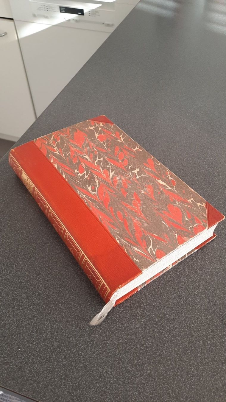 Libri: Aus den Tagen  der Schreckensherrschaft. – Usato da zürich venduto da gabab 1