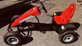 Berg Gokart mit BFR System sehr guter Zustand