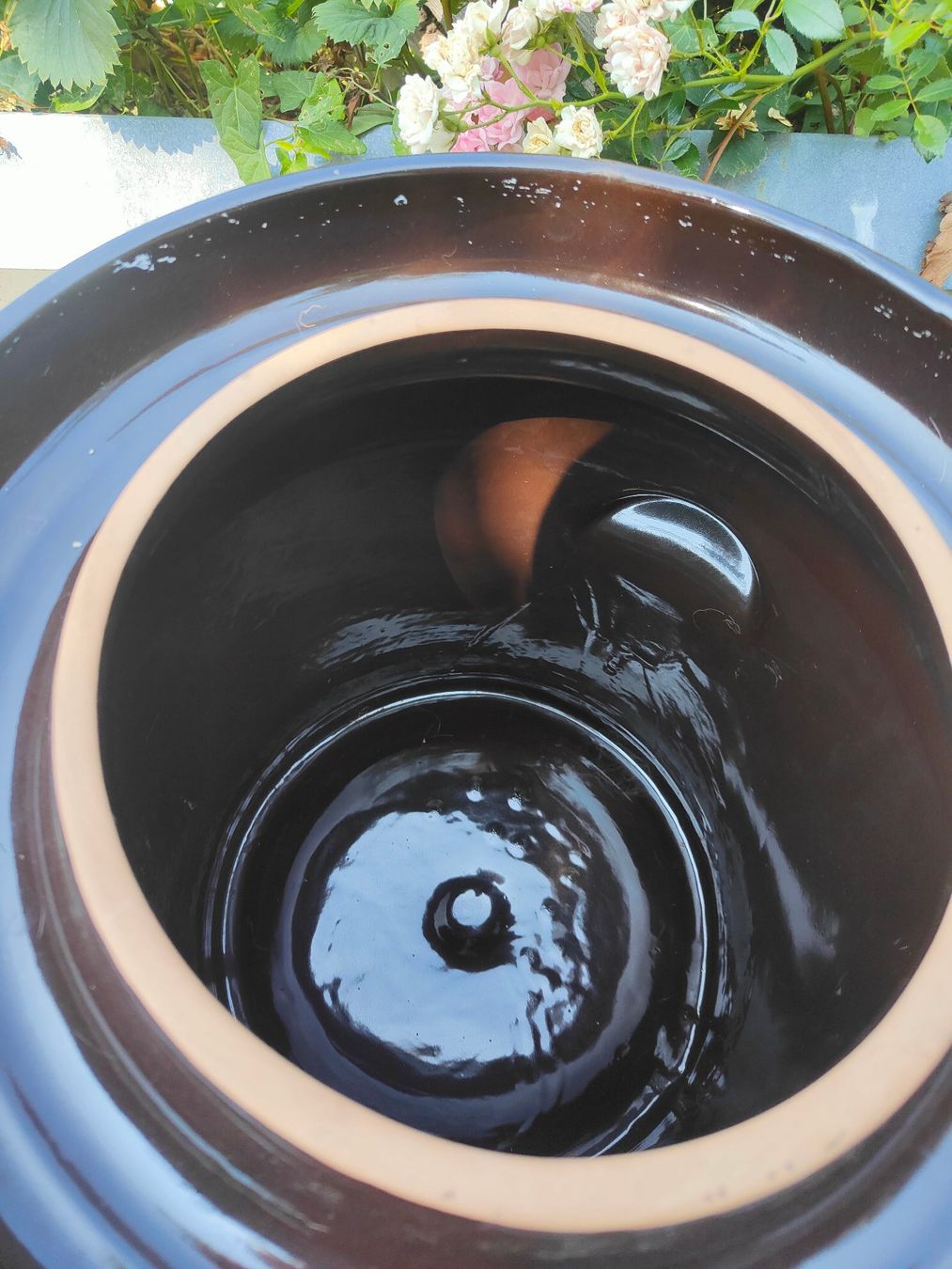 Accessori: Pot à choucroute en grès à joint d'eau, 25 litres – Usato da Corgémont venduto da Similitude 1