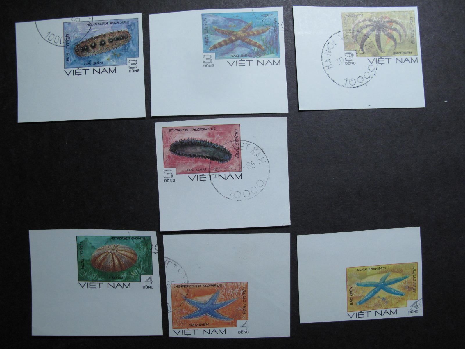 Alle Briefmarken: Vietnam 1985 Meerestiere geschnitten – Gebraucht aus Wil SG von fva01