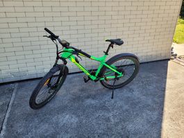 E-Bike Totem