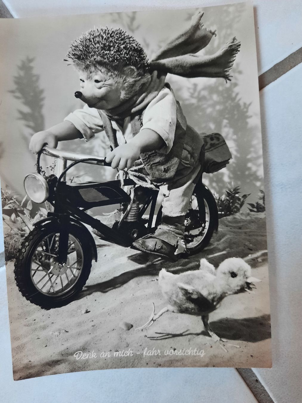 Giocattoli: MECKI  3 CARTES POSTALES, vers 1950 – Usato da Le Locle venduto da marylise01 1