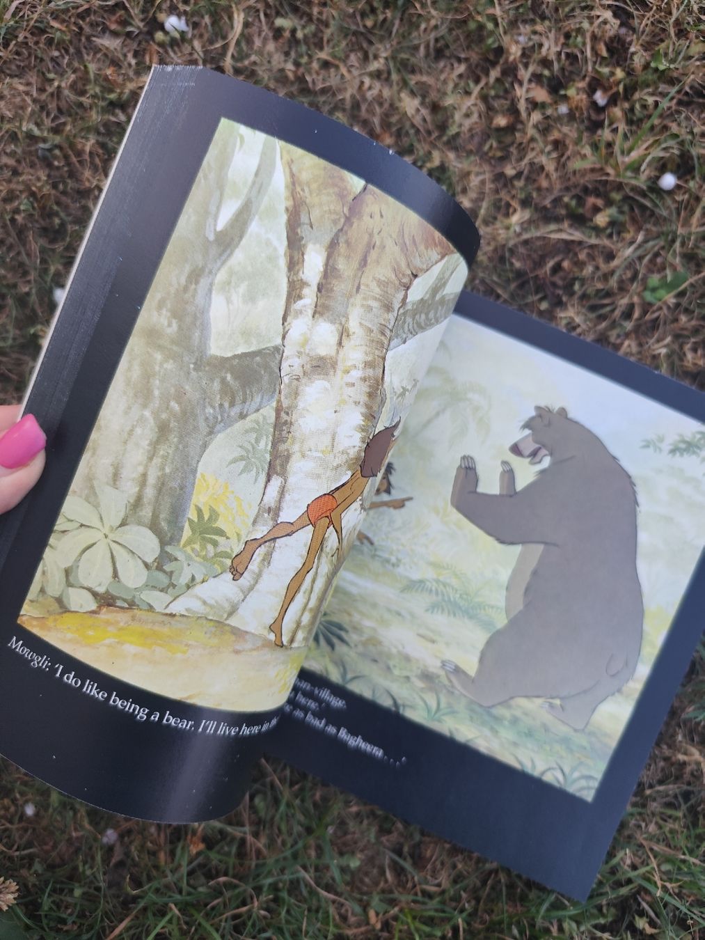 Bücher: Walt Disney The Jungle Book – Gebraucht aus Mägenwil von VintageGirly 1