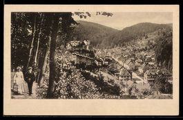 AK Triberg, Ortsansicht, Ganzsache