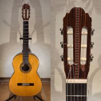 Akustik Gitarre Aria A-588