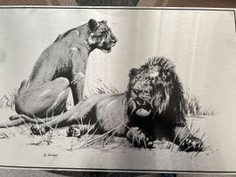 Löwenbild auf Stainless Steel