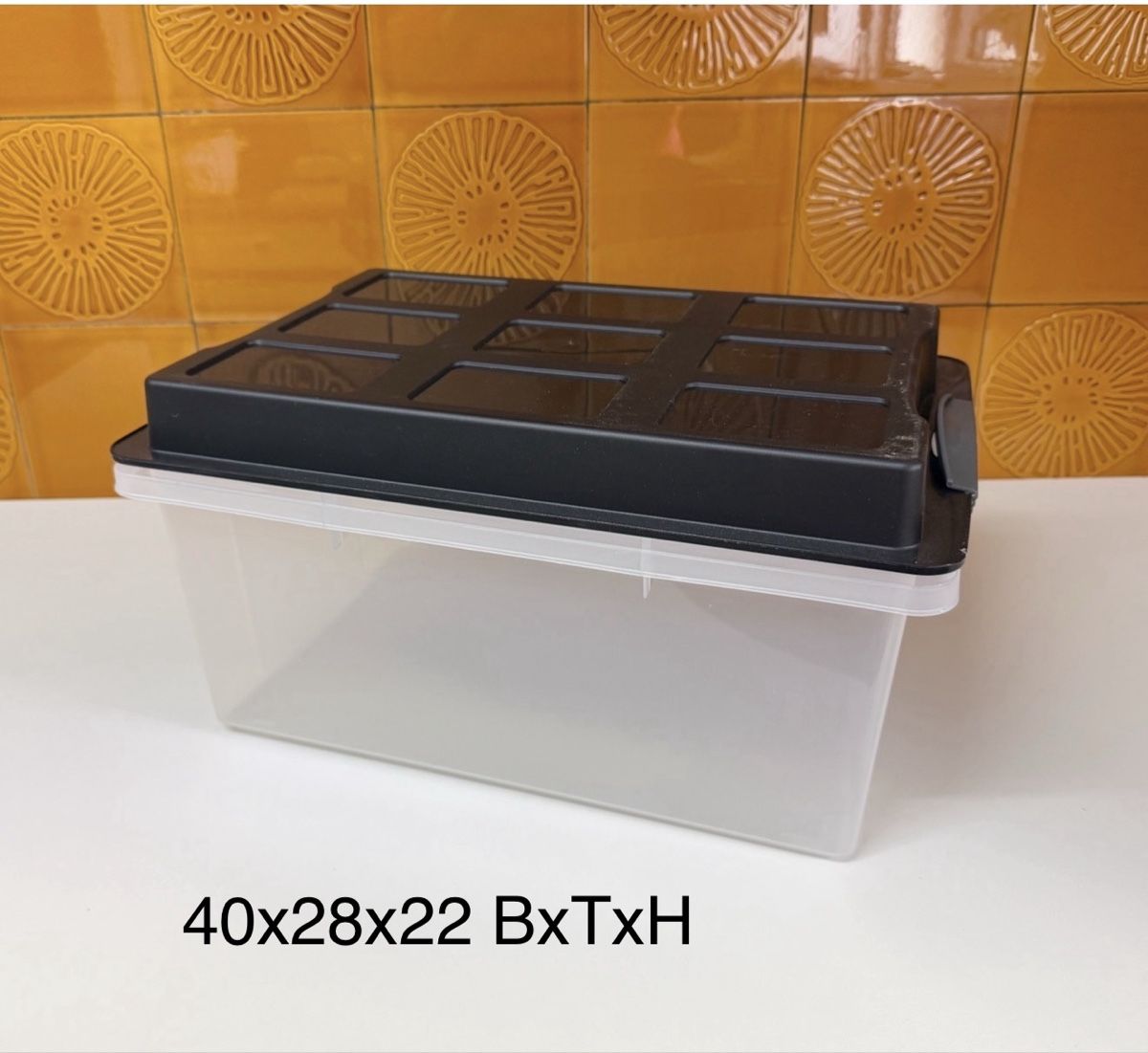 Rotho Contenitori & Simili: Behälter Boxen Kisten Set 7 Stk – Nuovo (secondo la descrizione) da Gerlafingen venduto da sternrose