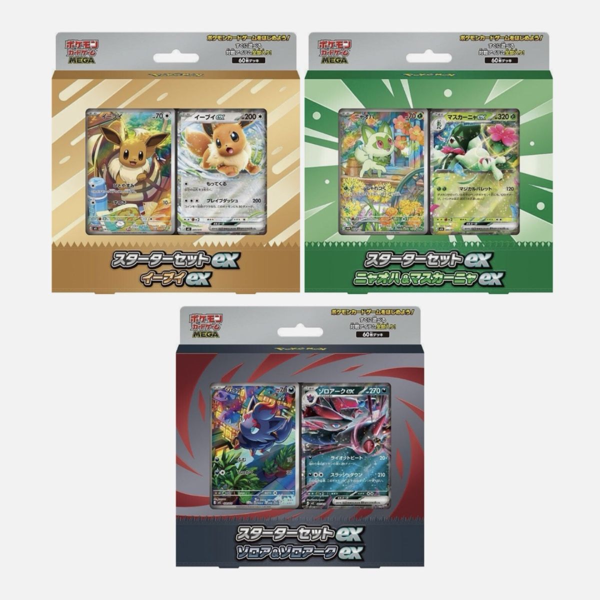 Pokémon Carte collezionabili: Pokémon MEGA Starter Set BUNDLE - Eevee Zorua Sprigatio (JP) – Nuovo e nell'imballaggio originale da oftringen venduto da COLLECTIVO