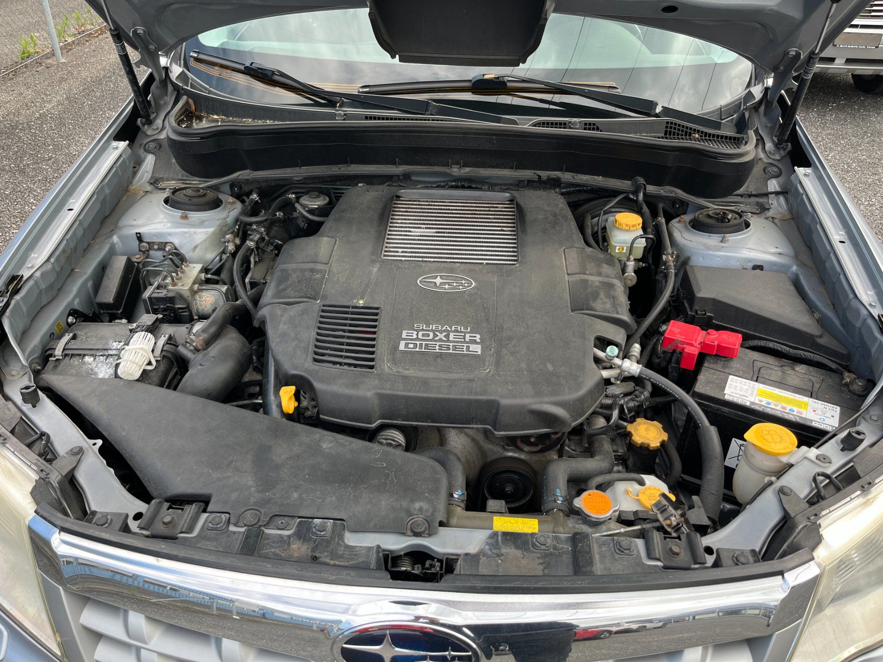 Subaru Automobili: SUBARU Forester 2.0 TDE AWD – Usato da Emmen venduto da g-b-e 5